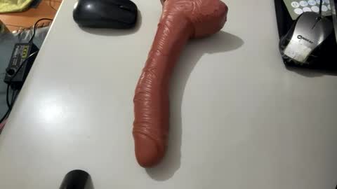 Ninfo Puta online show from 4, 4, 2026