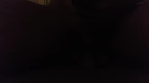 Snapshot of ninjadance chatting on 8, 10, 2025 Ninjadance online show from 8, 10, 2025