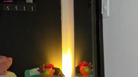 Snapshot of noah25_ chatting on 14, 1, 2026 Noah online show from 14, 1, 2026