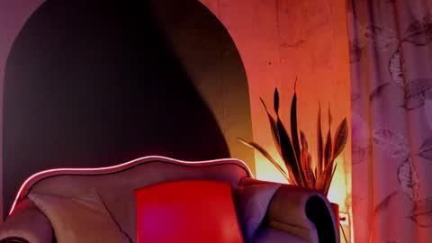 Noah online show from 21, 12, 2024