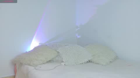 Noah online show from 16, 12, 2025