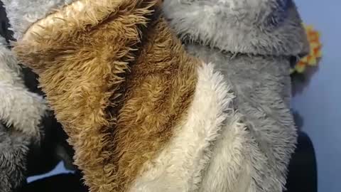 Noah Millers online show from 23, 1, 2025