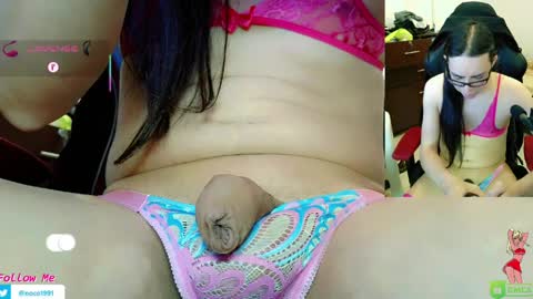 Nicol online show from 31, 3, 2026