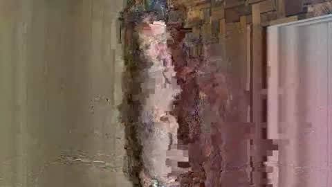 NoodsOverNudes online show from 26, 5, 2026