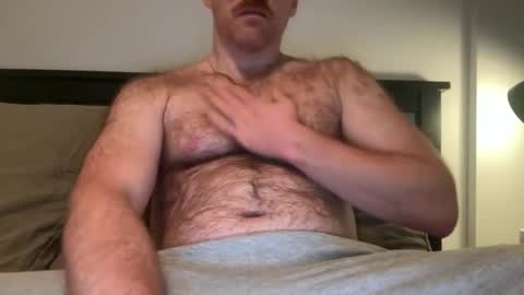 No Plan online show from 2, 12, 2025