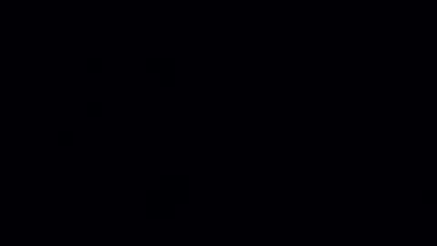 norbitomii online show from 11, 11, 2025