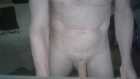 norm004 online show from 18, 12, 2024