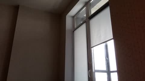 Snapshot of north_justin chatting on 5, 3, 2026 Justin online show from 5, 3, 2026