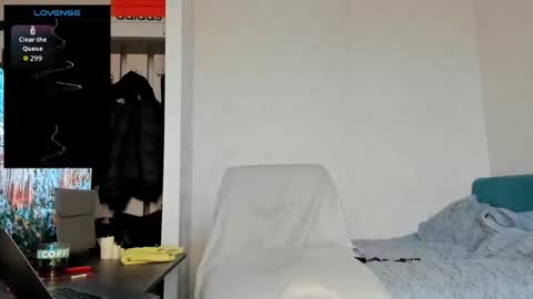 North stallions online show from 19, 2, 2026