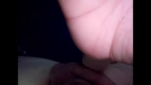 norwich_bigwhitecock online show from 25, 11, 2025