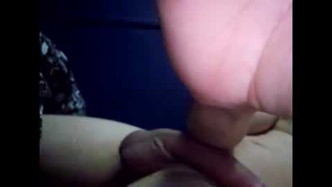 norwich_bigwhitecock online show from 28, 11, 2025