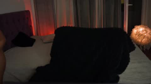 Tina online show from 7, 5, 2026