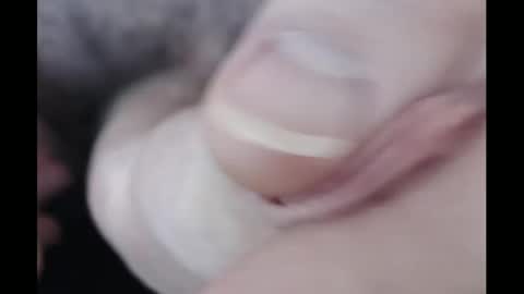 Alex Richardson online show from 18, 12, 2024