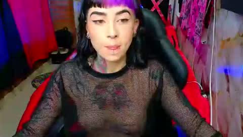 Nova kitty tx online show from 6, 4, 2026