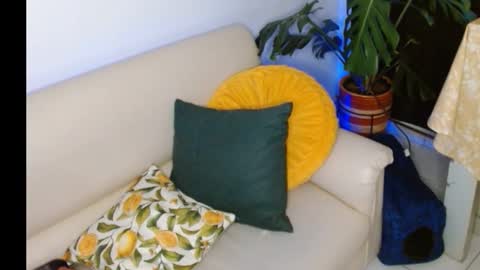 Snapshot of novaperotti chatting on 8, 10, 2025 novaperotti online show from 8, 10, 2025