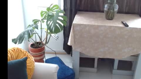 Snapshot of novaperotti chatting on 5, 11, 2025 novaperotti online show from 5, 11, 2025