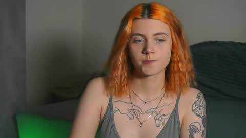 Nova online show from 14, 10, 2025