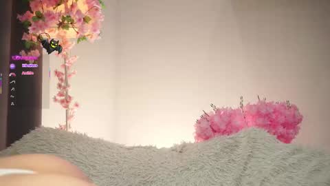 Dina online show from 7, 11, 2025