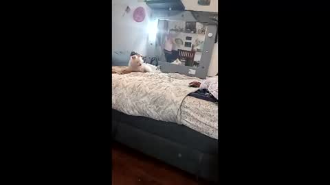 noxxsable online show from 16, 2, 2026