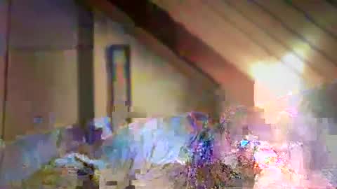 Snapshot of nurod chatting on 29, 12, 2024 nurod online show from 29, 12, 2024