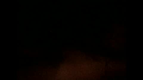 Snapshot of nxleon chatting on 9, 12, 2024 nxleon online show from 9, 12, 2024