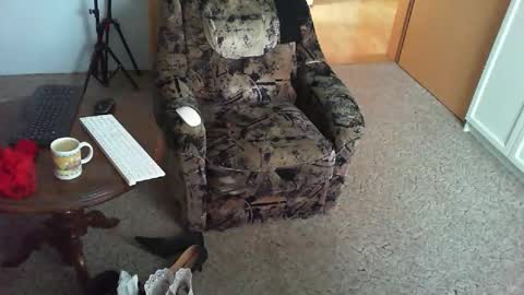 Strumpfhose online show from 3, 11, 2025