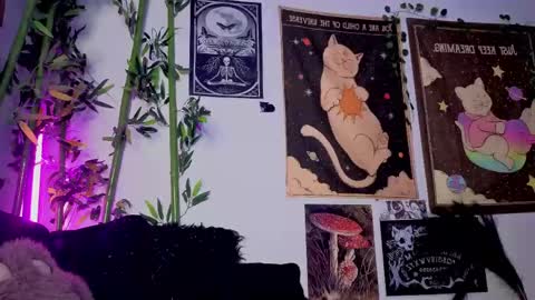   online show from 21, 4, 2026