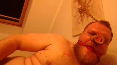 Snapshot of obesepervpiggy89 chatting on 17, 1, 2026 obesepervpiggy89 online show from 17, 1, 2026