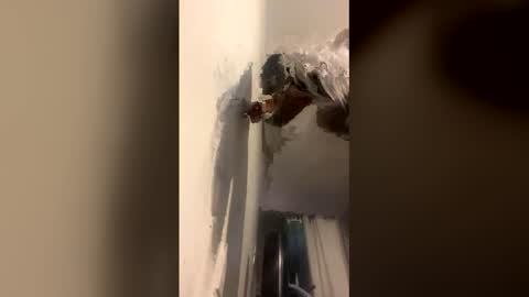 Kira online show from 14, 12, 2025