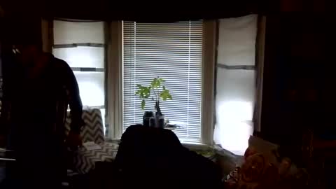 oscar flores online show from 27, 2, 2026