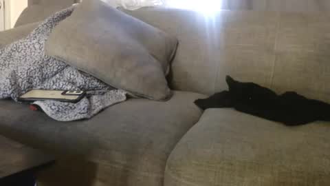 OGDigBick online show from 4, 11, 2025