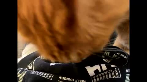 oggs48 online show from 21, 10, 2025