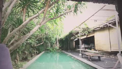 Snapshot of ohmymojo chatting on 18, 11, 2025 Mo online show from 18, 11, 2025