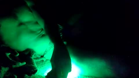 oibrev49 online show from 21, 3, 2026