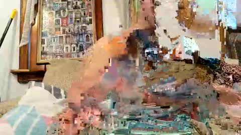 oknpc online show from 7, 12, 2024