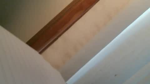 olddognewtrickss online show from 11, 9, 2025