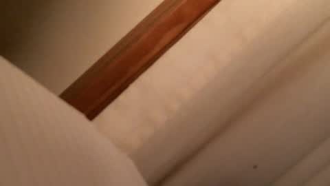 olddognewtrickss online show from 12, 9, 2025