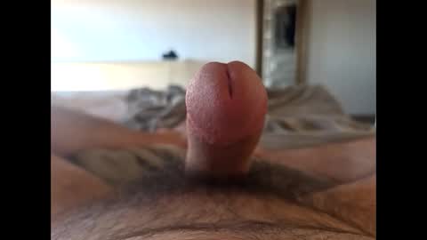 oldermtl online show from 14, 5, 2026
