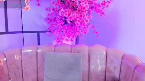 olive  online show from 17, 1, 2026