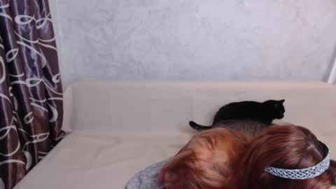 Olivia online show from 14, 9, 2025