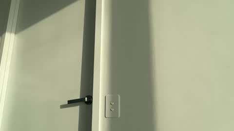 Olivia Brookes online show from 17, 11, 2025