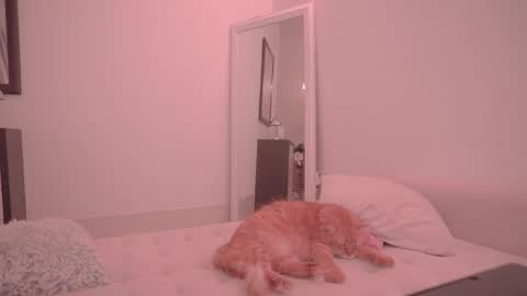 Ariel online show from 18, 10, 2025