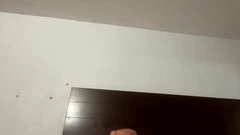 onesmallweenie online show from 26, 11, 2025