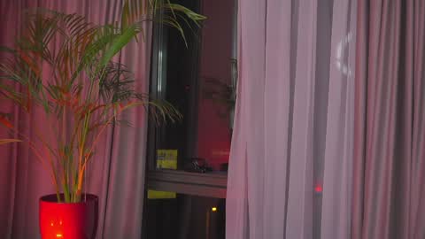 Nicolle online show from 30, 1, 2025