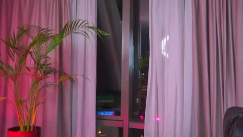 Nicolle online show from 31, 1, 2025