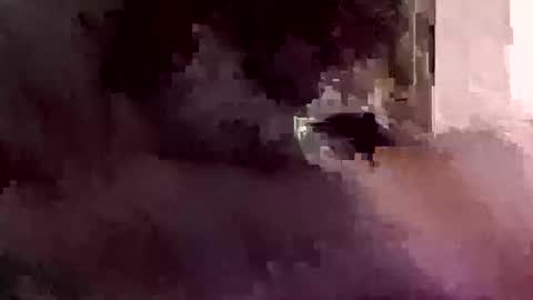 Snapshot of oral4u4ever chatting on 12, 1, 2026 Foryourdick online show from 12, 1, 2026