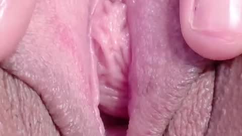 Snapshot of orchidekitty chatting on 18, 3, 2026 orchidekitty online show from 18, 3, 2026