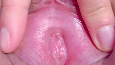 orchidekitty online show from 3, 5, 2026