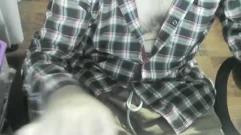 Ore online show from 20, 1, 2025