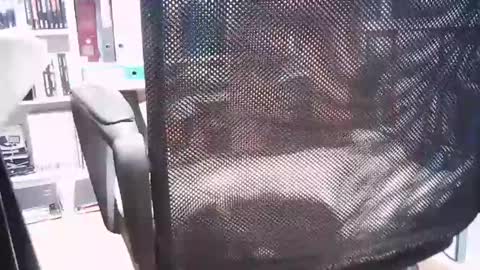 Snapshot of oren57 chatting on 1, 3, 2025 oren online show from 1, 3, 2025